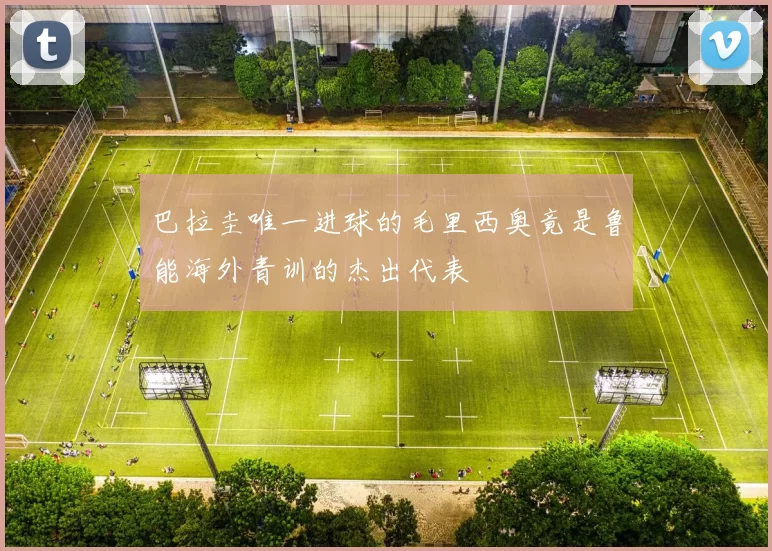 巴拉圭唯一进球的毛里西奥竟是鲁能海外青训的杰出代表