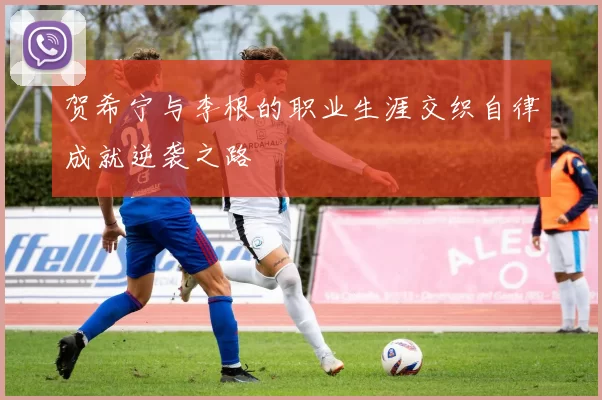 贺希宁与李根的职业生涯交织自律成就逆袭之路
