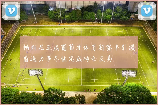 帕利尼亚成葡萄牙体育新赛季引援首选力争尽快完成转会交易